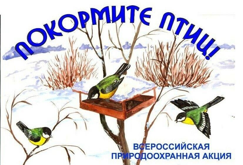 Всероссийская акция &amp;quot;Покормите птиц зимой&amp;quot;..