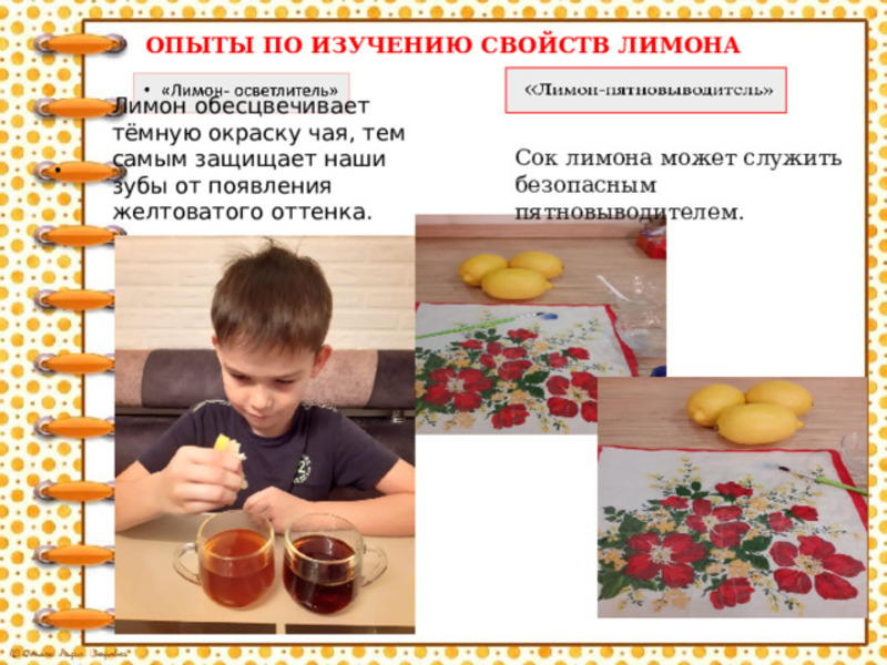 Опыты по изучению свойств лимона.